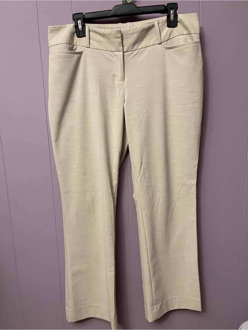 The Limited  Drew cut Straight-Leg Beige Dress Pants